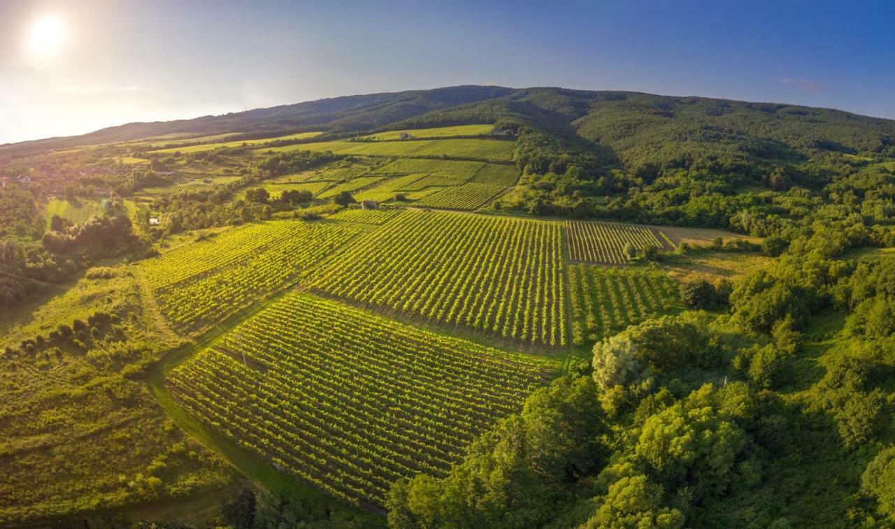 Robinson Vila Kitokret Kutjevo Dış mekan fotoğraf