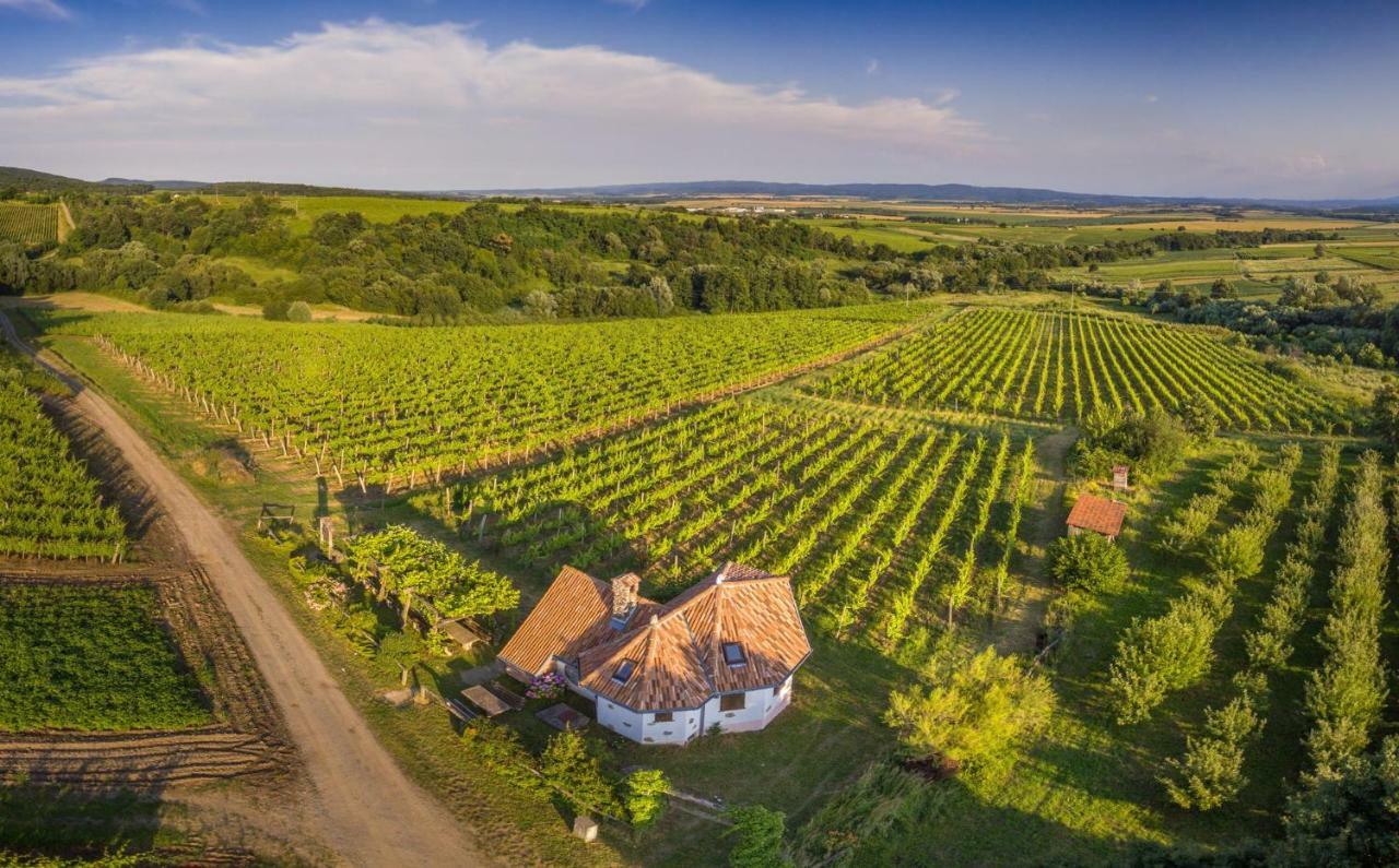 Robinson Vila Kitokret Kutjevo Dış mekan fotoğraf