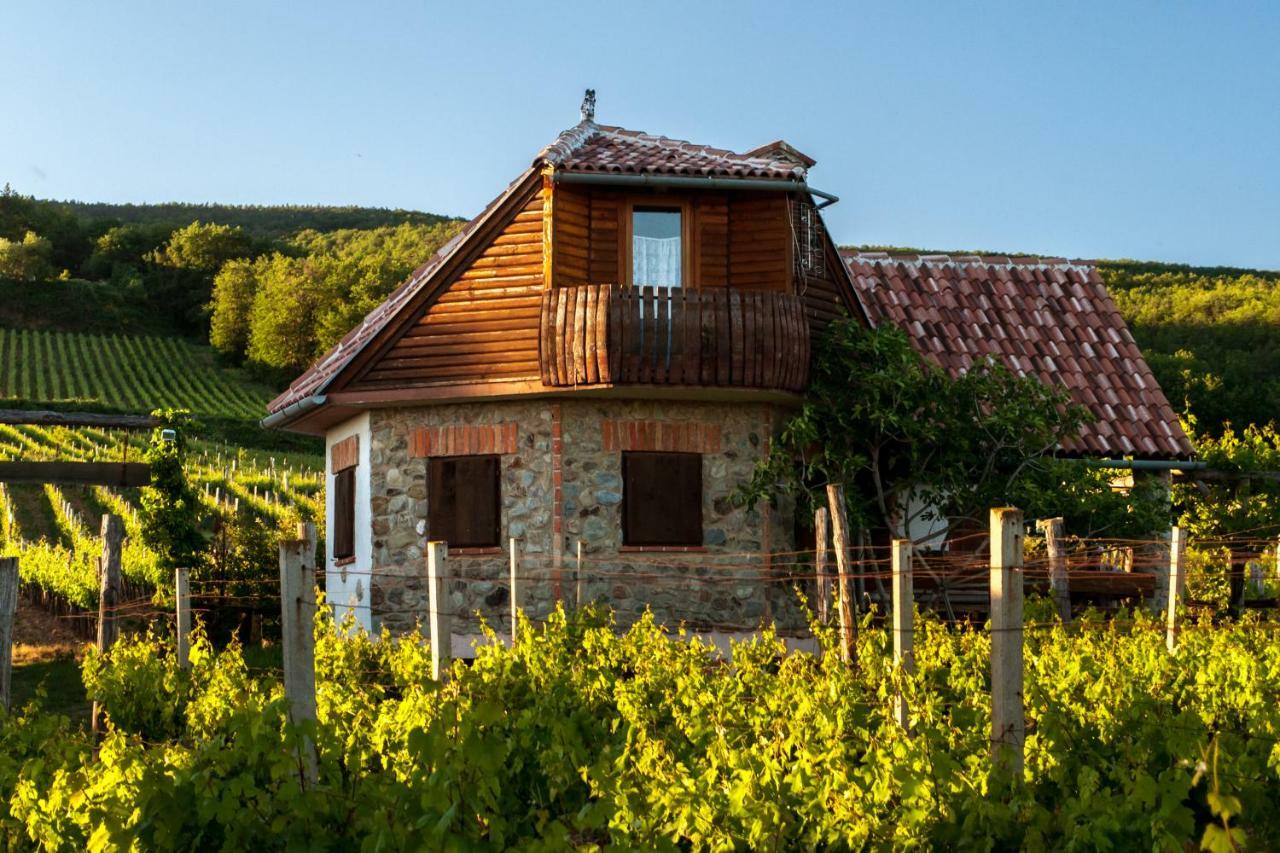 Robinson Vila Kitokret Kutjevo Dış mekan fotoğraf