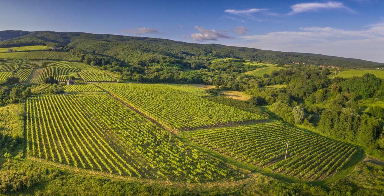 Robinson Vila Kitokret Kutjevo Dış mekan fotoğraf