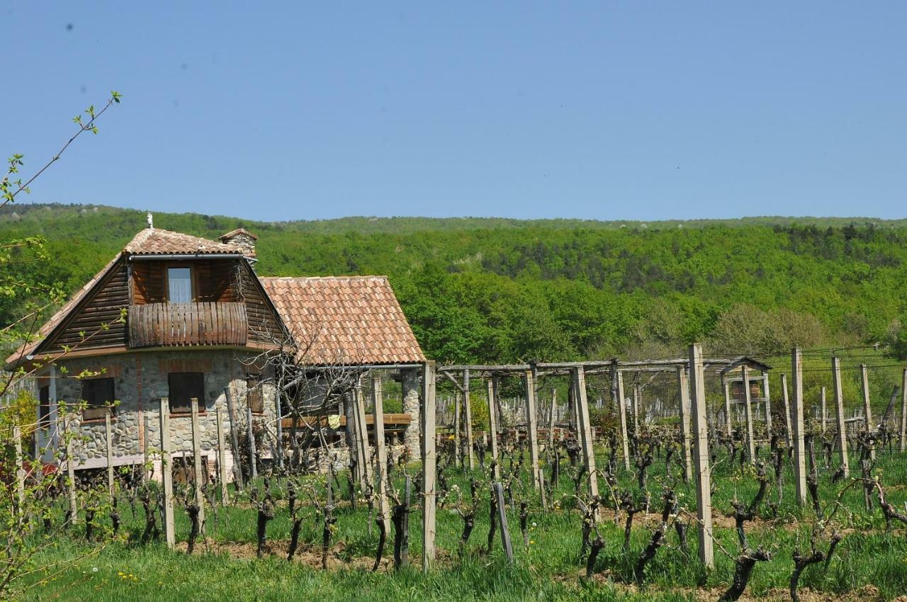 Robinson Vila Kitokret Kutjevo Dış mekan fotoğraf