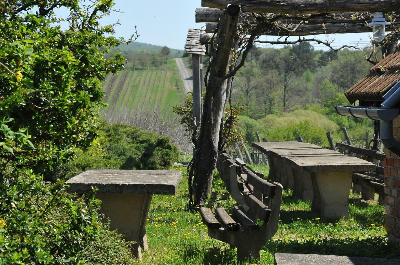 Robinson Vila Kitokret Kutjevo Dış mekan fotoğraf